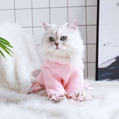 Factory OEM High Quality Pet Clothes Warm Cat Princess Dress