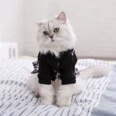 New Small Pet Dog Clothes Cat Dress with High Quality